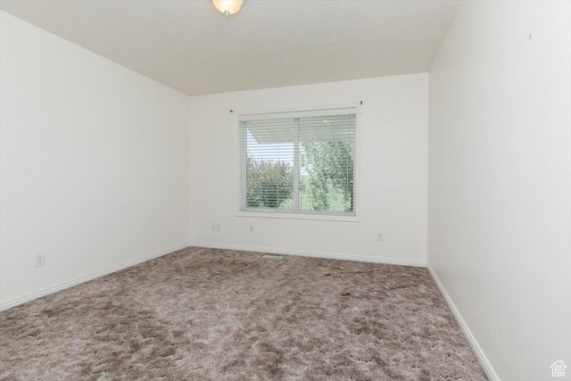 1176 E 900 S, Preston, ID 83263 - spare room featuring carpet and a textured ceiling