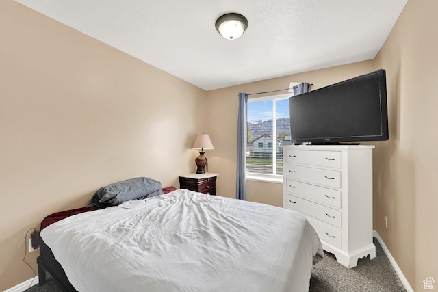 221 E Brookmeadow Dr, Harrisville, UT 84404 - bedroom with baseboards and carpet flooring
