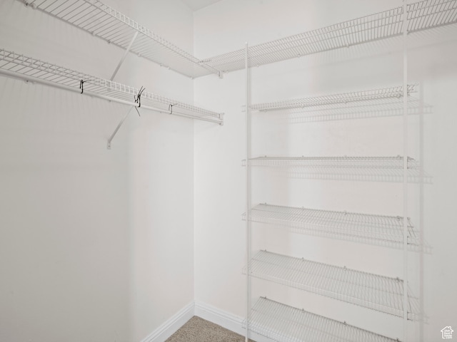 165 S Pleasant Grove Blvd Unit 45, Pleasant Grove, UT 84062 - view of spacious closet