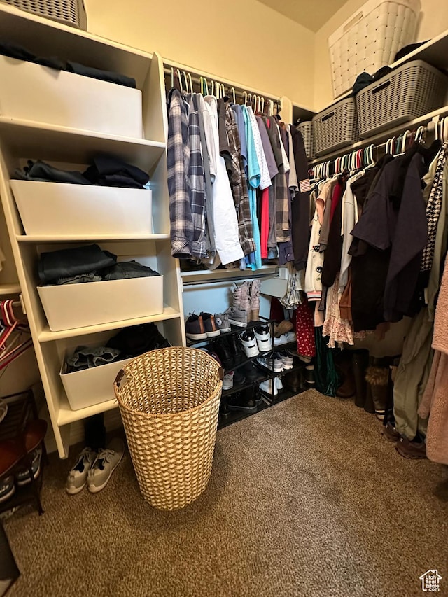 walk in closet with carpet