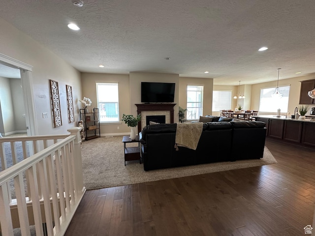 living area featuring a healthy amount of sunlight, a textured ceiling, and dark wood-style floors