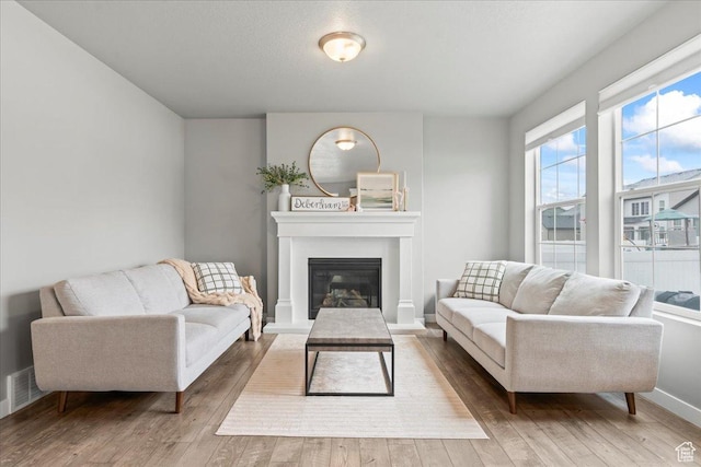 living area featuring a glass covered fireplace, hardwood / wood-style floors, and visible vents