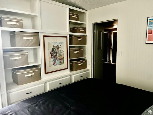 1150 W Red Hills Pkwy Unit 113, Washington, UT 84780 - view of closet