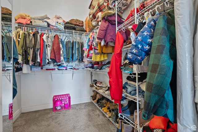 spacious closet with carpet