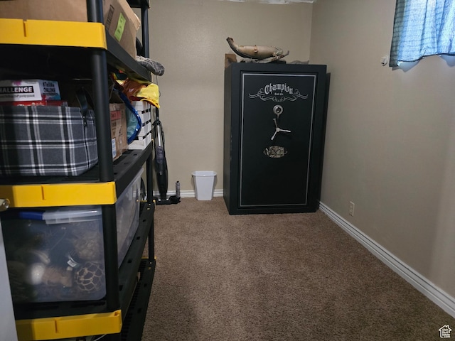322 S 800 W, Vernal, UT 84078 - room details featuring baseboards and carpet flooring