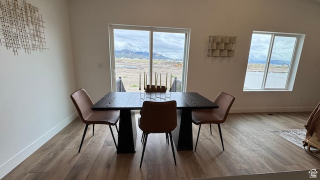491 W 1860 N Unit 342, Tooele, UT 84074 - dining room with baseboards, a mountain view, and wood finished floors