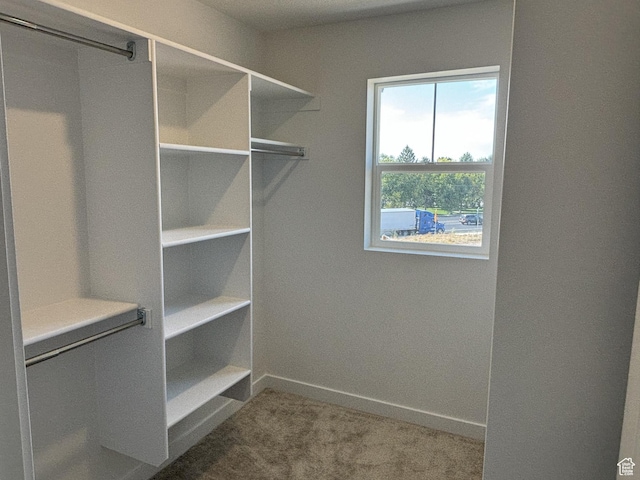walk in closet with carpet floors