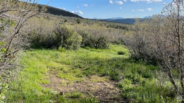 87 Splendor Valley Rd Unit 87, Kamas, UT 84036