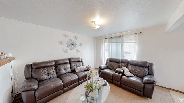 living room featuring a textured ceiling