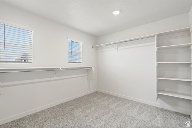 3448 S 3100 W Unit 153, West Haven, UT 84401 - walk in closet with carpet