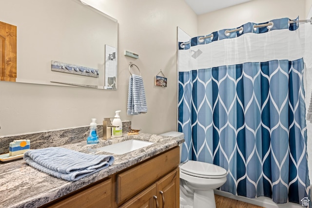 1428 N Broad Hollow Rd, Garden City, UT 84028 - bathroom with curtained shower, wood finished floors, toilet, and vanity