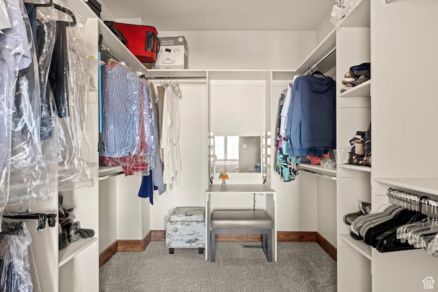 1428 N Broad Hollow Rd, Garden City, UT 84028 - walk in closet featuring carpet flooring