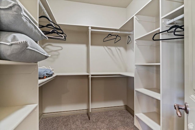 5328 N 3275 E, Liberty, UT 84310 - spacious closet with carpet flooring