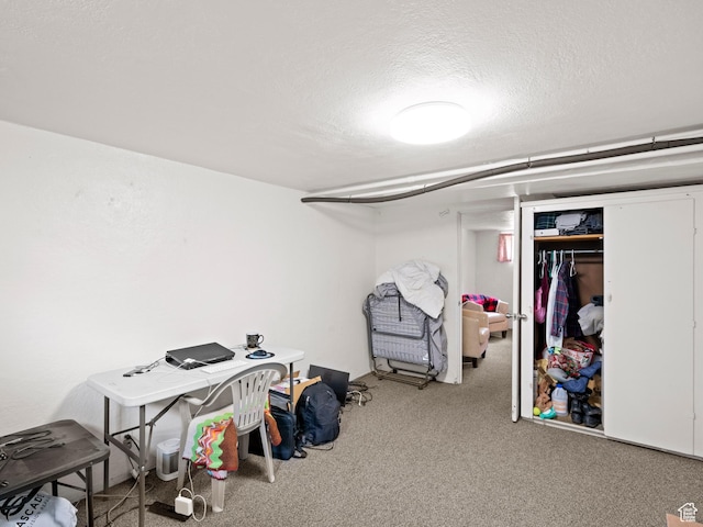 finished below grade area featuring carpet and a textured ceiling