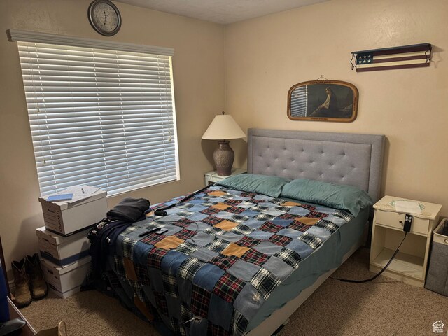 532 N 300 E, Roosevelt, UT 84066 - view of carpeted bedroom