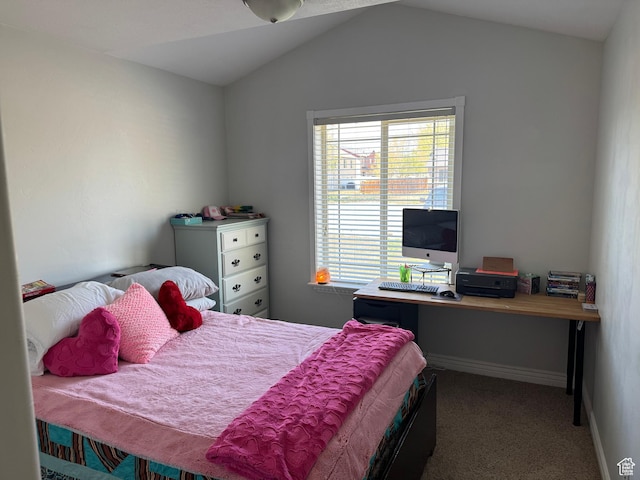 532 N 300 E, Roosevelt, UT 84066 - bedroom with carpet floors, lofted ceiling, and baseboards