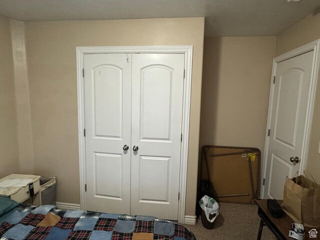 532 N 300 E, Roosevelt, UT 84066 - bedroom featuring baseboards, carpet flooring, and a closet