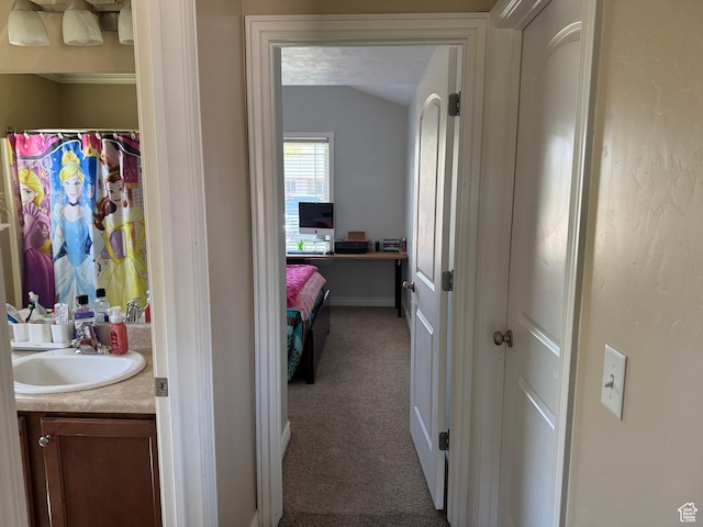 532 N 300 E, Roosevelt, UT 84066 - interior space with lofted ceiling, baseboards, vanity, and curtained shower