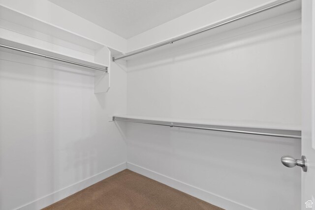 1045 S 1700 W Unit 1032, Payson, UT 84651 - spacious closet with dark colored carpet