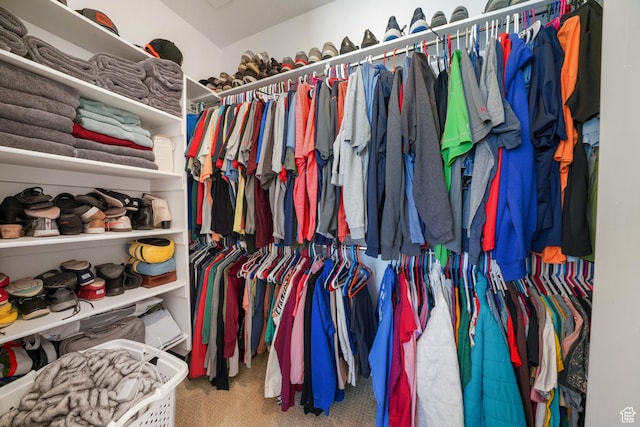 788 N 2100 E, Spanish Fork, UT 84660 - walk in closet featuring carpet floors