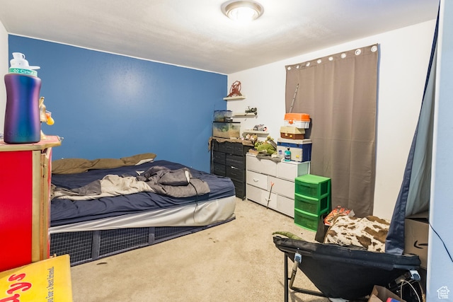 1373 W 925 S, Vernal, UT 84078 - bedroom with carpet floors