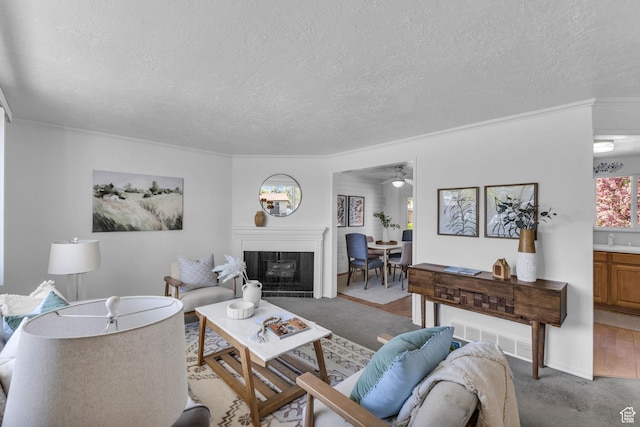 3788 W Hillsboro Cir, West Jordan, UT 84084 - carpeted living area with a fireplace, a textured ceiling, and crown molding