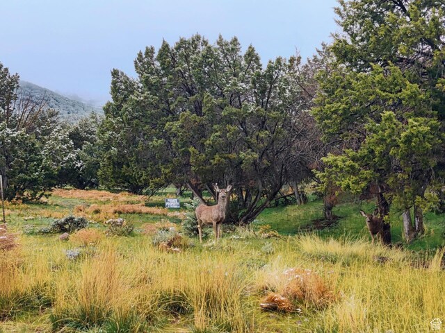 7825 W Mountain Top Rd, Herriman, UT 84096