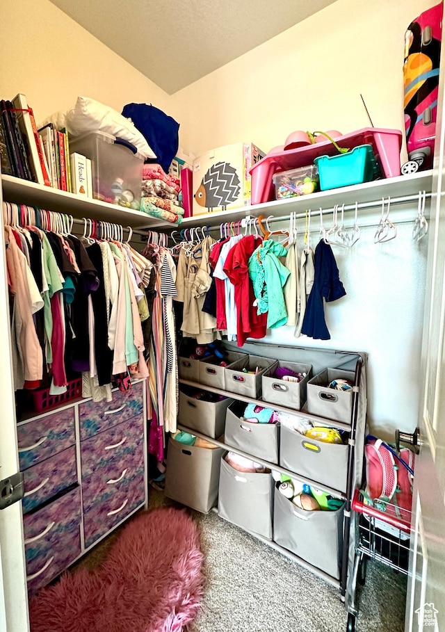 spacious closet featuring carpet
