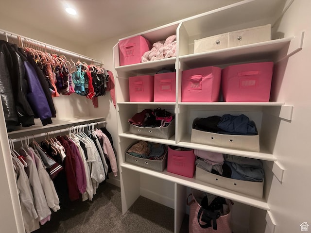 9104 N Cornwall Way E, Eagle Mountain, UT 84005 - walk in closet featuring carpet