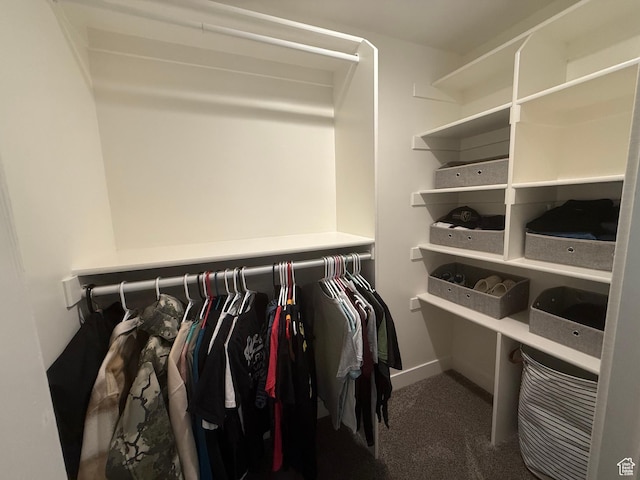 9104 N Cornwall Way E, Eagle Mountain, UT 84005 - spacious closet with carpet floors