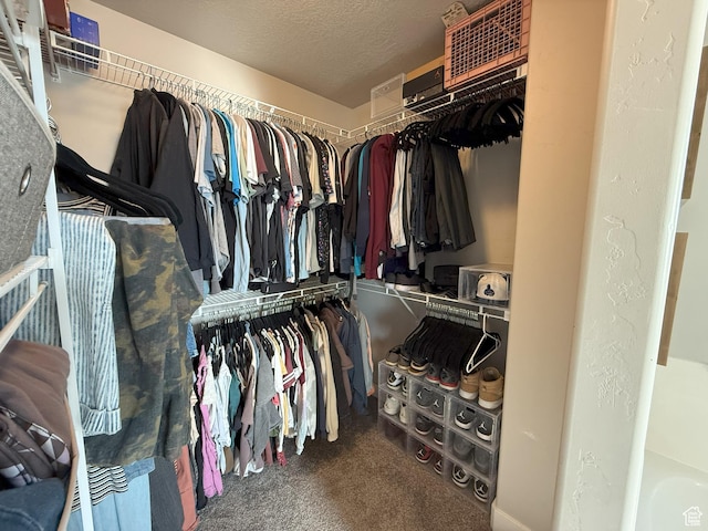 9104 N Cornwall Way E, Eagle Mountain, UT 84005 - walk in closet with carpet floors