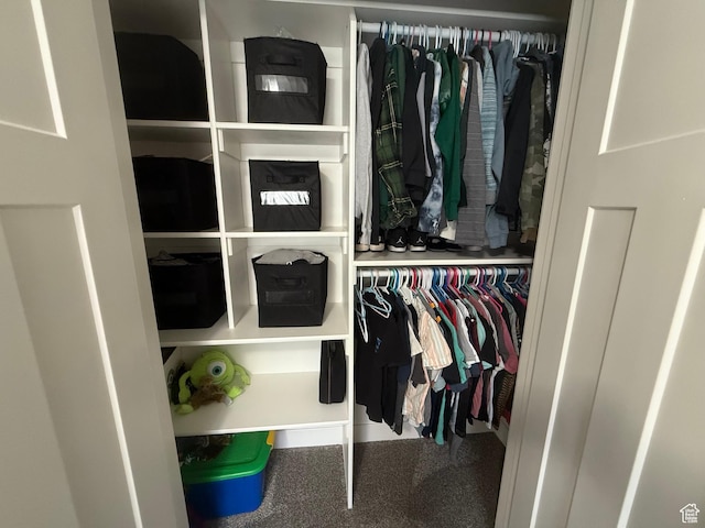 9104 N Cornwall Way E, Eagle Mountain, UT 84005 - view of closet