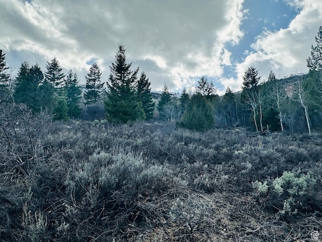 1115 S Lakeview Dr Unit A 103, Garden City, UT 84028
