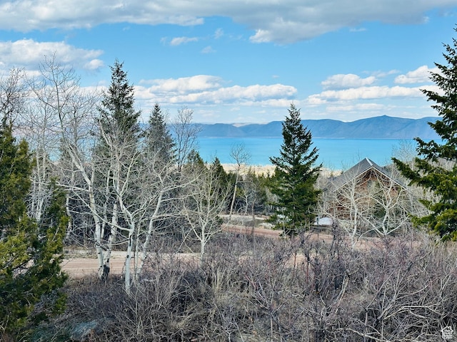 1115 S Lakeview Dr Unit A 103, Garden City, UT 84028