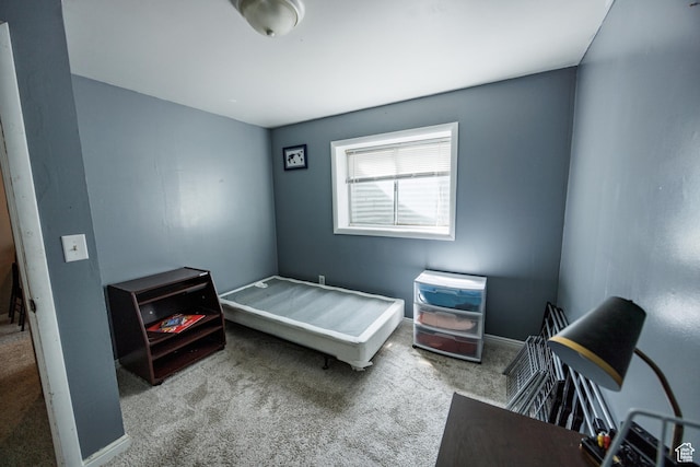 bedroom with baseboards and carpet floors