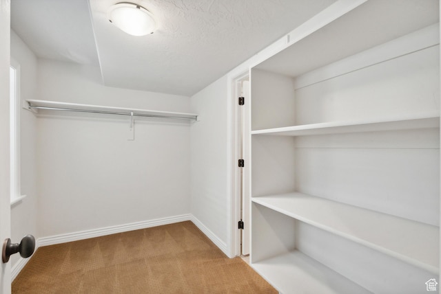 walk in closet with carpet floors