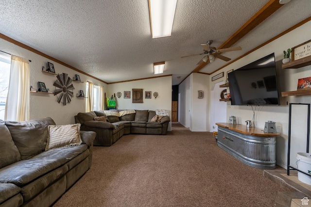 408 W 2000 S, Price, UT 84501 - carpeted living room with a textured ceiling, ceiling fan, and crown molding