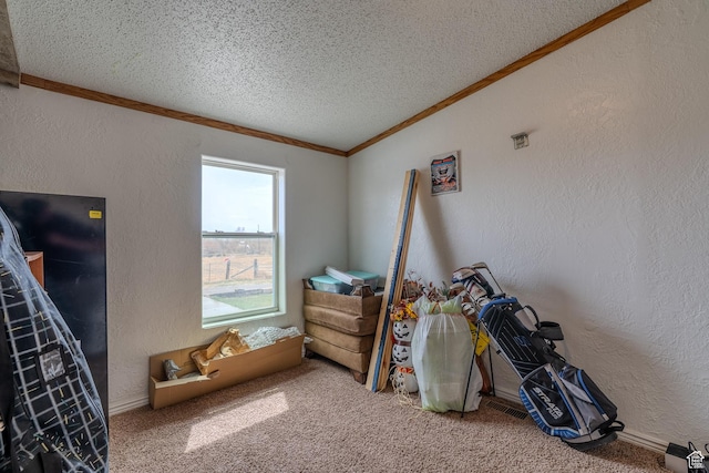 408 W 2000 S, Price, UT 84501 - bedroom featuring a textured wall, a textured ceiling, carpet floors, and ornamental molding