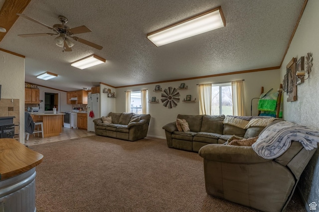 408 W 2000 S, Price, UT 84501 - living room featuring crown molding, lofted ceiling, a ceiling fan, and a textured ceiling