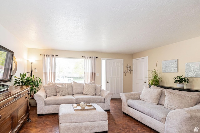 2005 N 500 E, North Ogden, UT 84414 - living area with dark wood-style floors and a textured ceiling