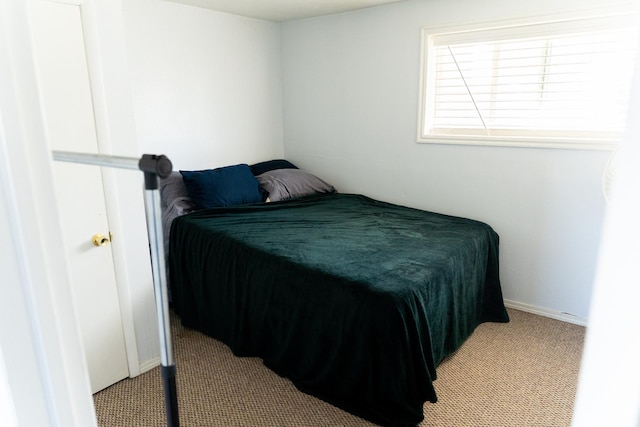 bedroom with carpet flooring
