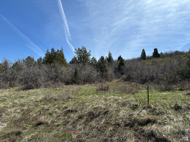13810 N 11625 E, Mount Pleasant, UT 84647