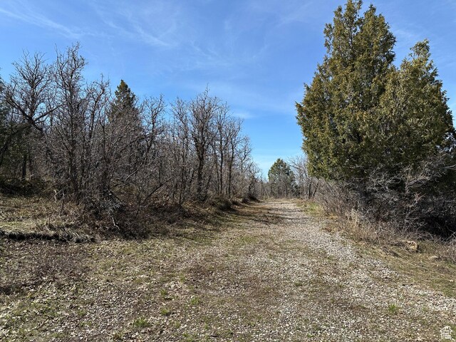 13810 N 11625 E, Mount Pleasant, UT 84647