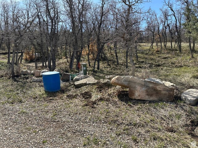 13810 N 11625 E, Mount Pleasant, UT 84647
