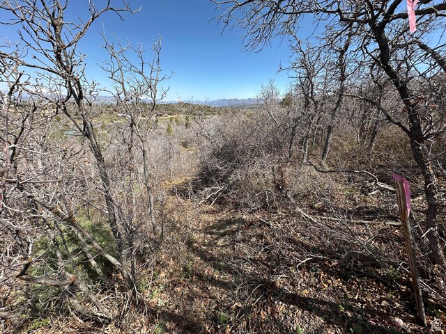 13810 N 11625 E, Mount Pleasant, UT 84647