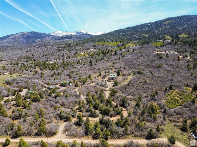 13810 N 11625 E, Mount Pleasant, UT 84647