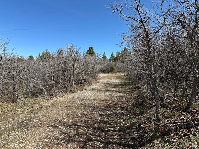 13810 N 11625 E, Mount Pleasant, UT 84647