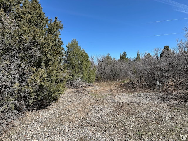 13810 N 11625 E, Mount Pleasant, UT 84647