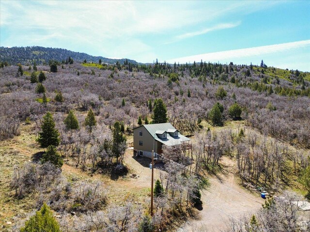13810 N 11625 E, Mount Pleasant, UT 84647