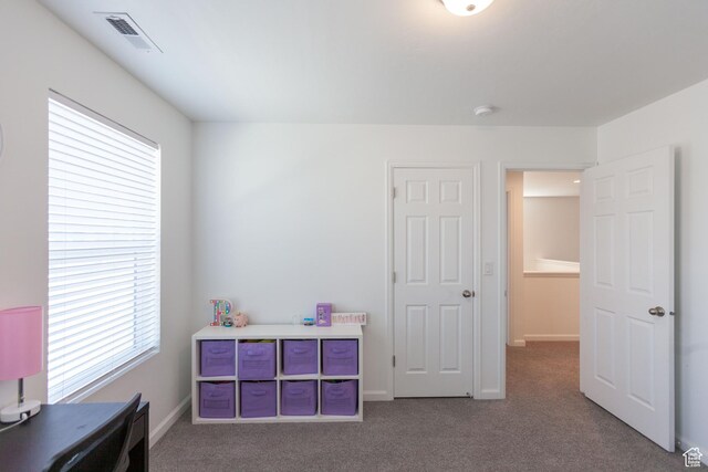 1719 N Pintail Dr Unit 60, Salem, UT 84653 - bedroom featuring multiple windows, visible vents, and carpet